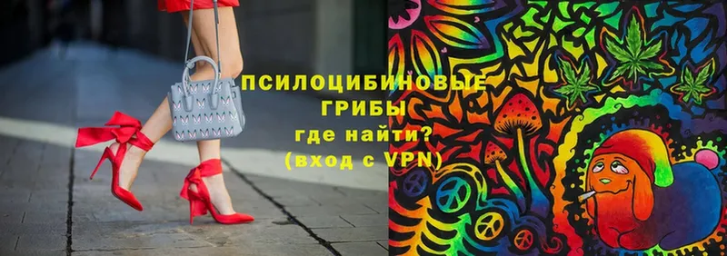 Псилоцибиновые грибы Magic Shrooms  Северодвинск 